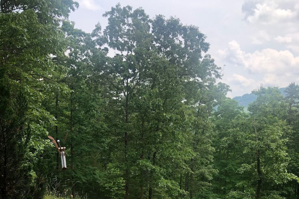 Photo of Outdoor in Murphy