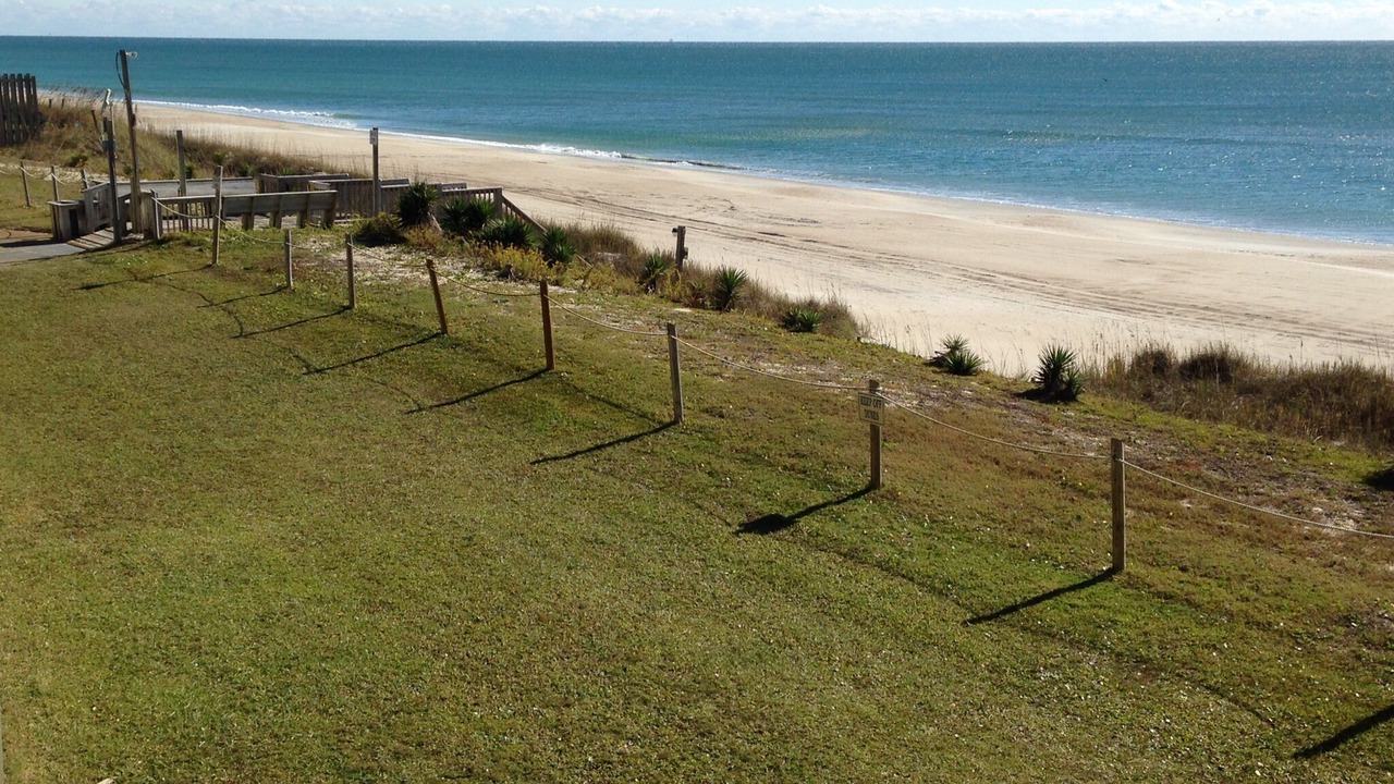 Photo of Others in Indian Beach