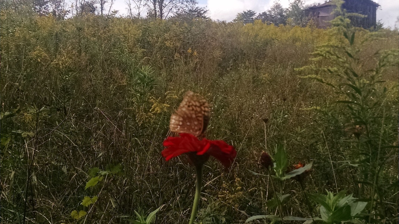 Photo of Outdoor in Danbury