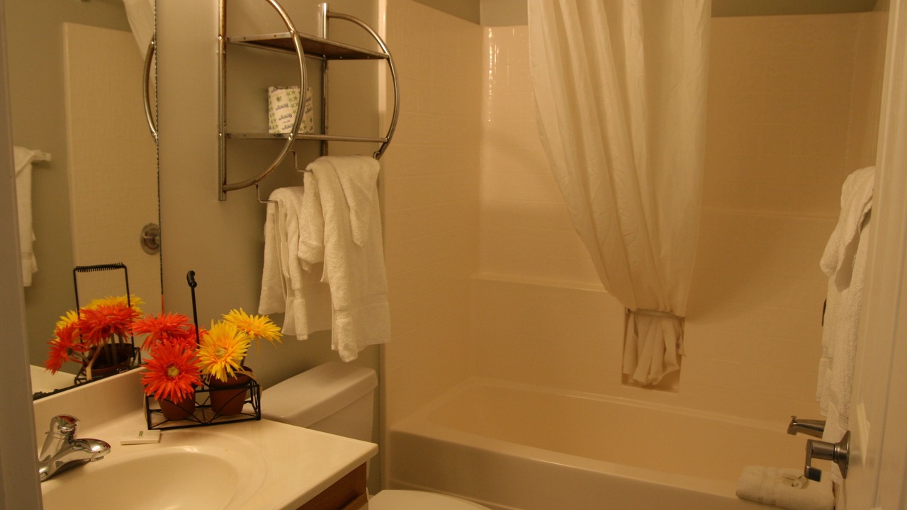 Photo of Bathroom in Shelby