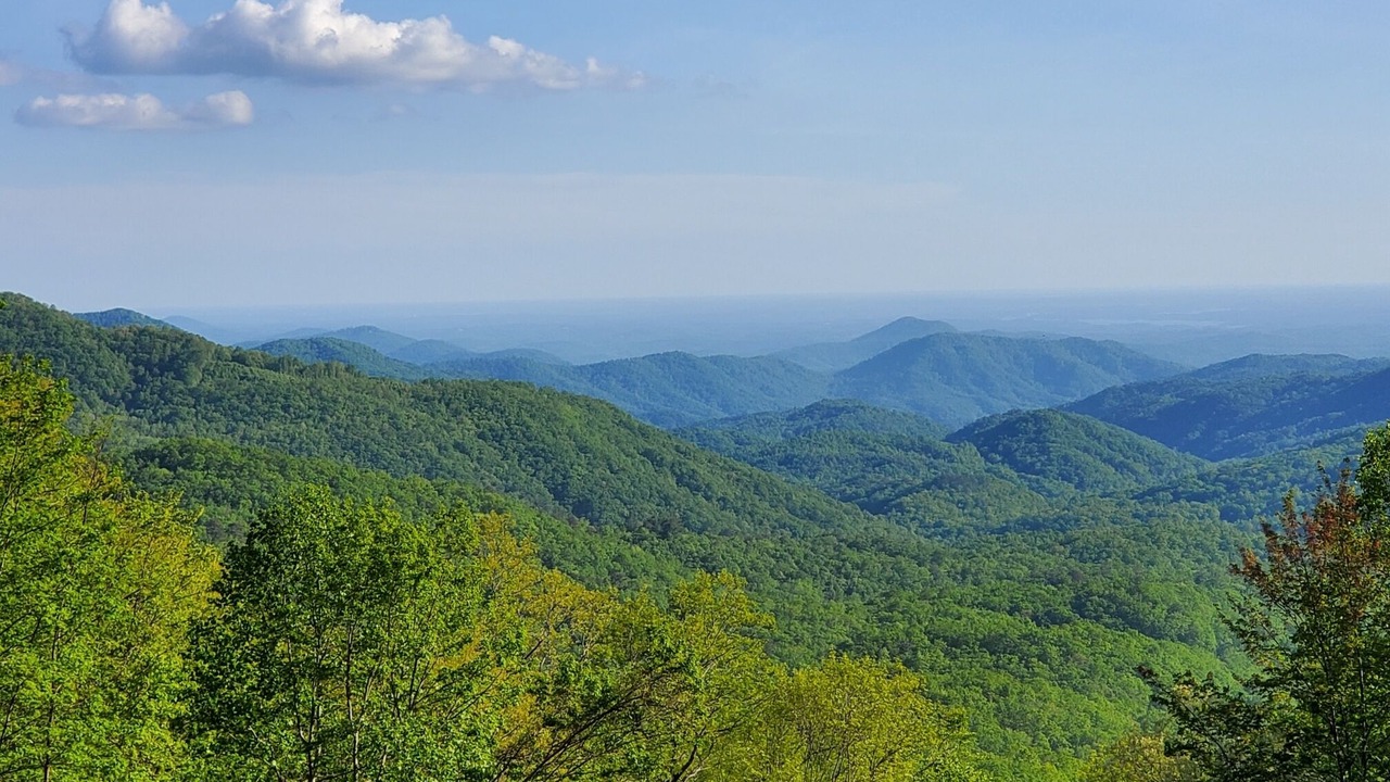 Photo of Others in Rosman