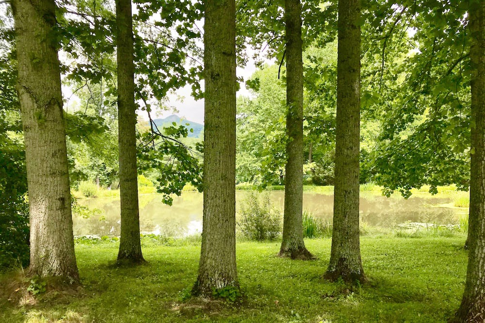 Photo of Outdoor in Skyland