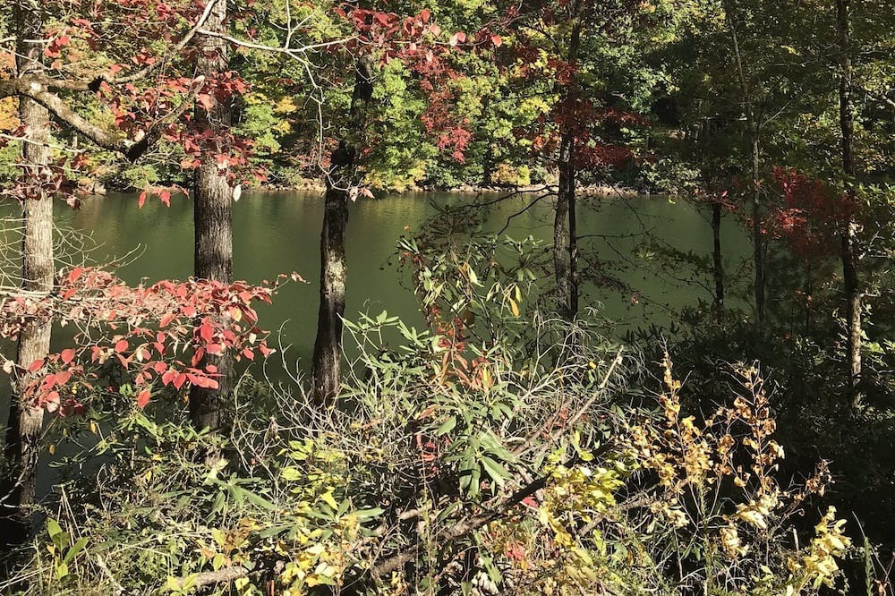 Photo of Outdoor in Robbinsville