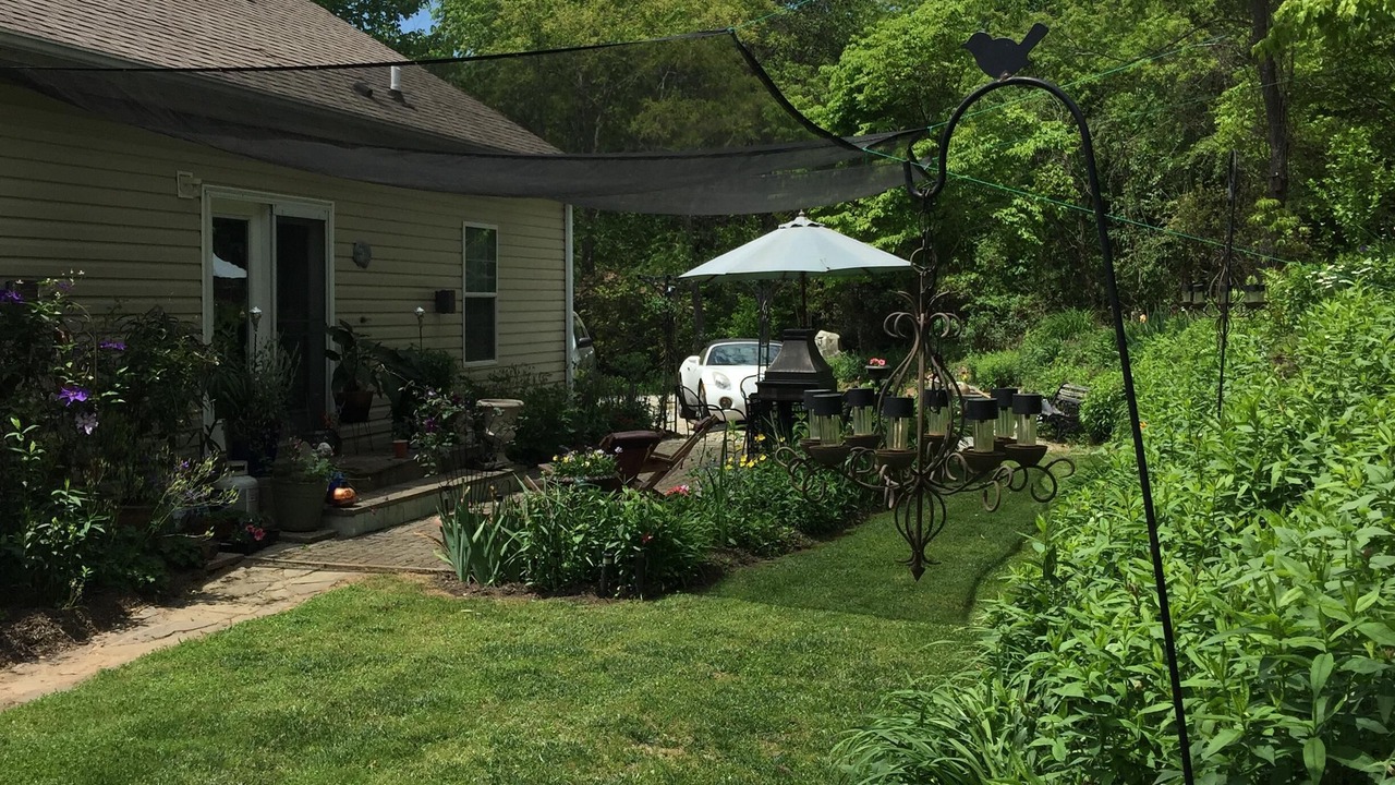 Photo of Outdoor in Mills River