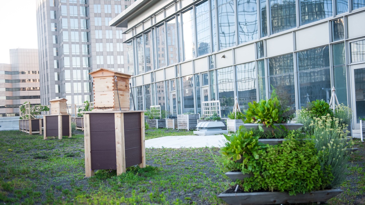 Photo of Outdoor in Charlotte Center City