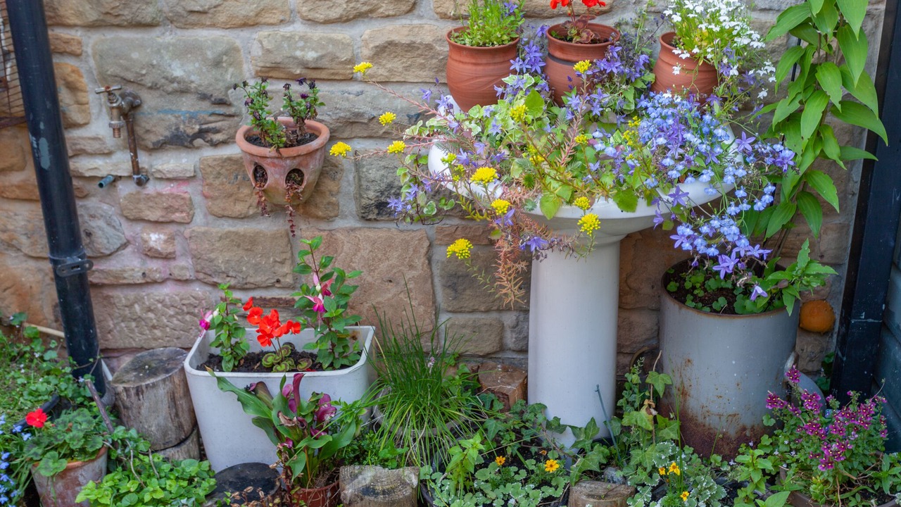 Photo of Outdoor in Haydon Bridge