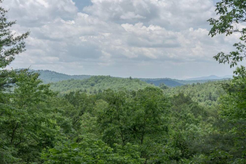 Photo of Others in Hendersonville