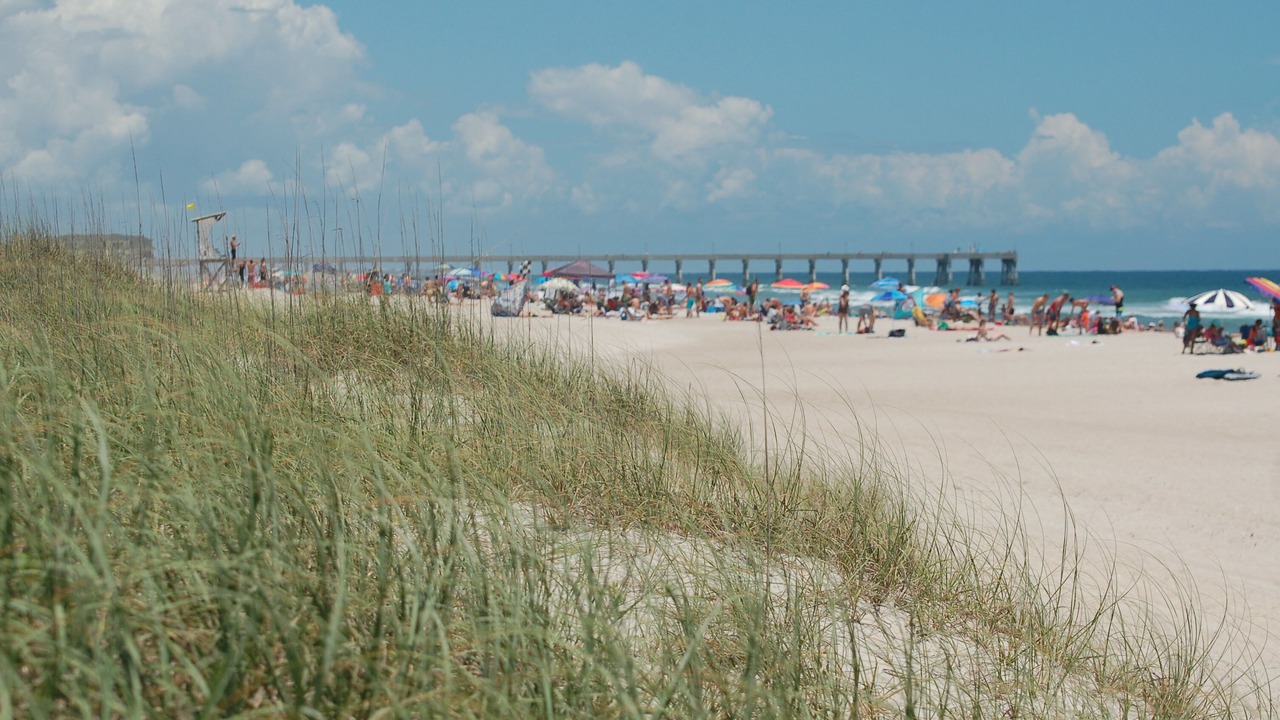 Photo of Others in Wrightsville Beach