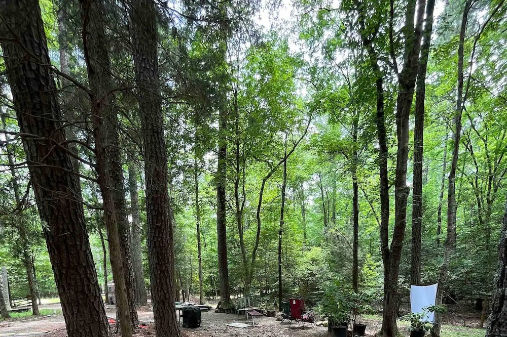Photo of Outdoor in Bynum