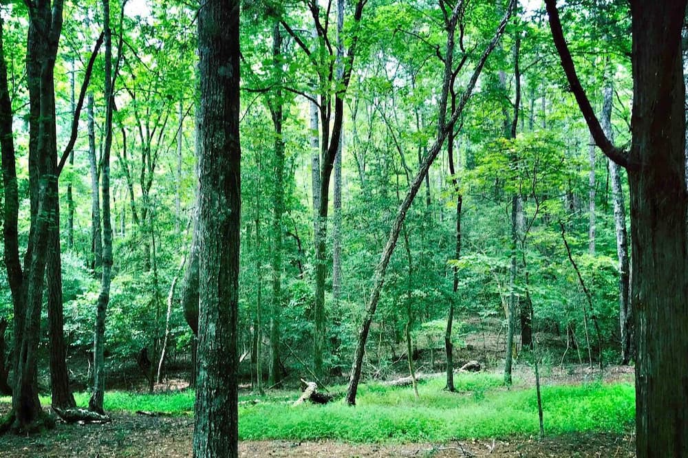 Photo of Others in Bynum