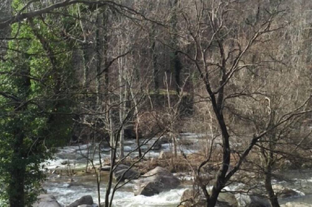 Photo of Others in Chimney Rock