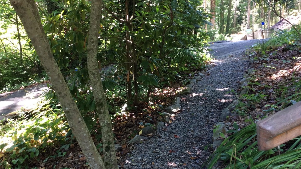 Photo of Outdoor in Brevard