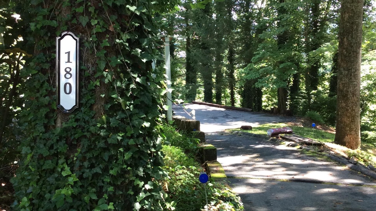 Photo of Outdoor in Brevard