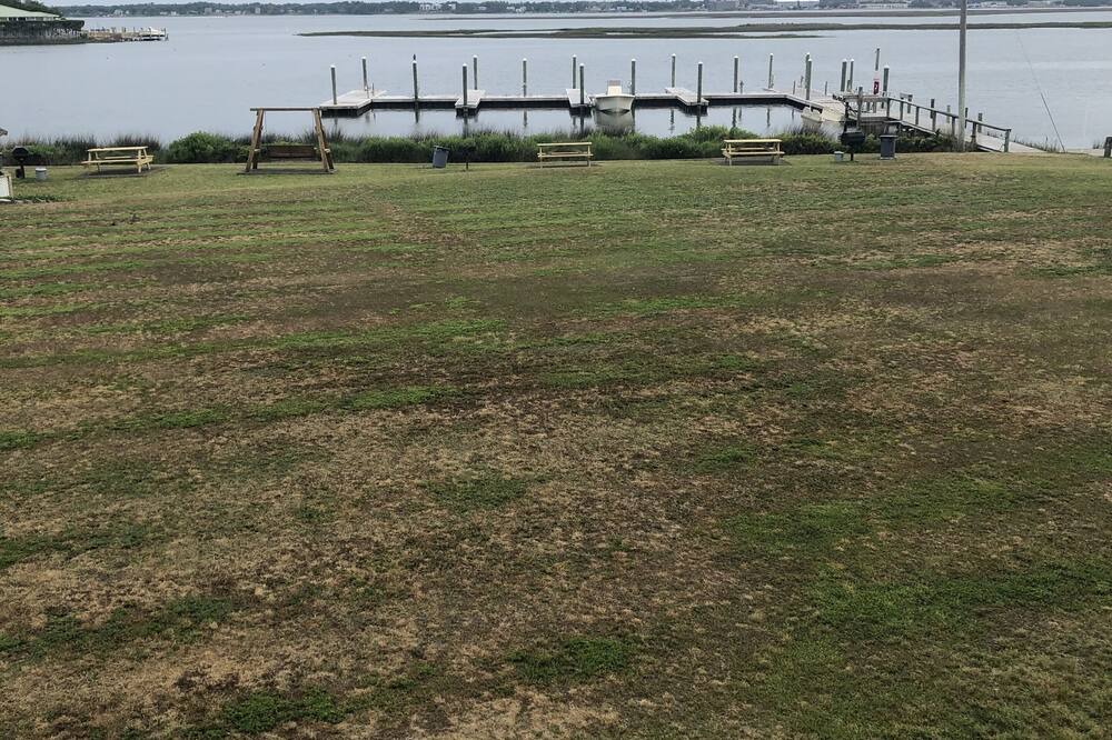 Photo of Others in Atlantic Beach