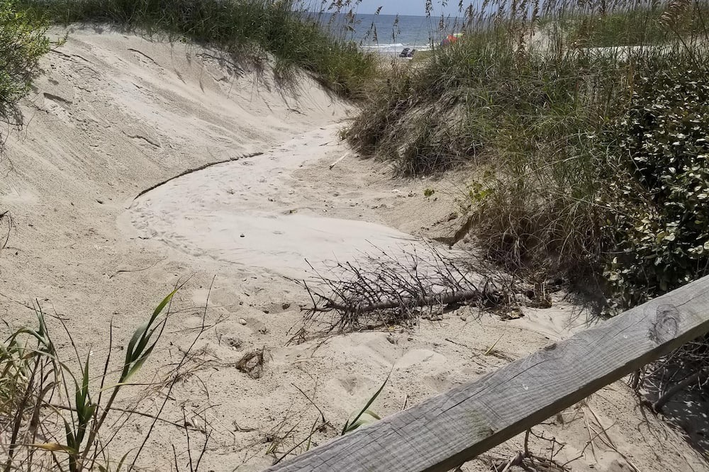 Photo of Others in Atlantic Beach
