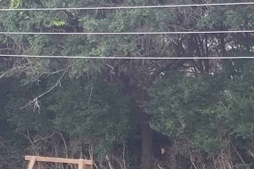 Photo of Others in Atlantic Beach