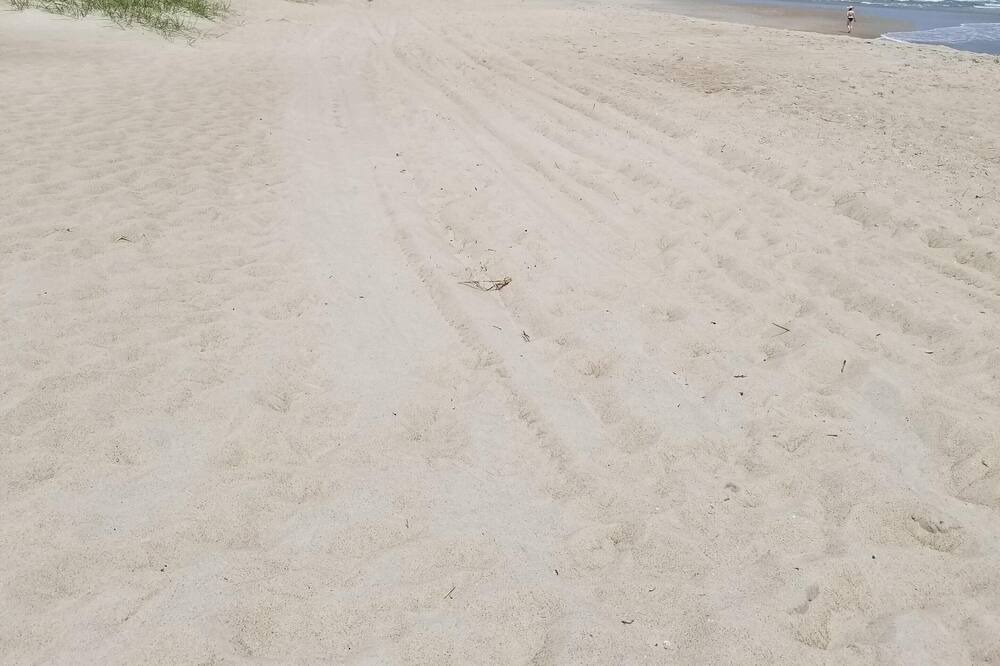 Photo of Outdoor in Atlantic Beach