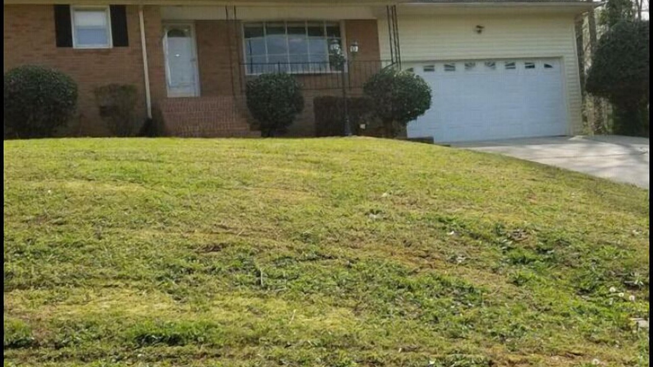 Photo of Outdoor in Belmont