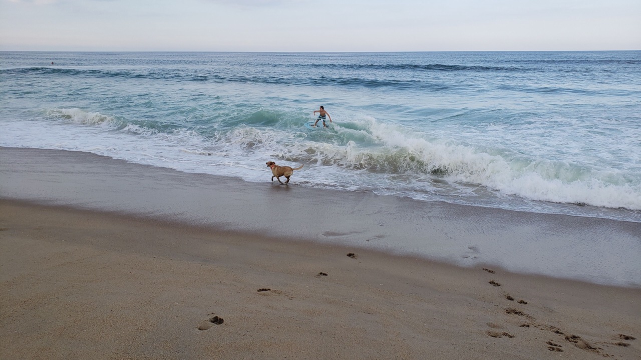 Photo of Others in Nags Head