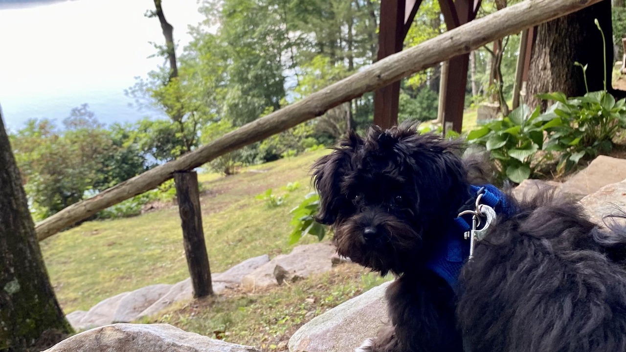 Photo of Outdoor in Cullowhee