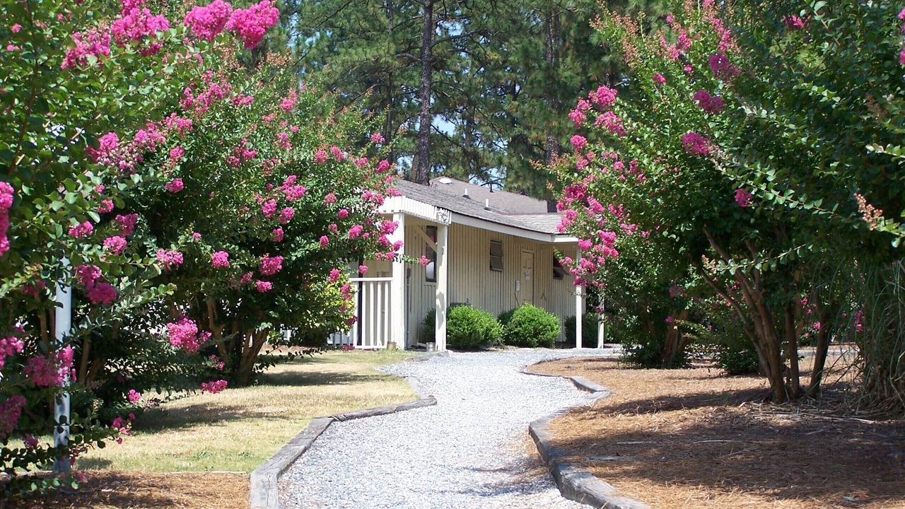 Photo of Outdoor in Foxfire