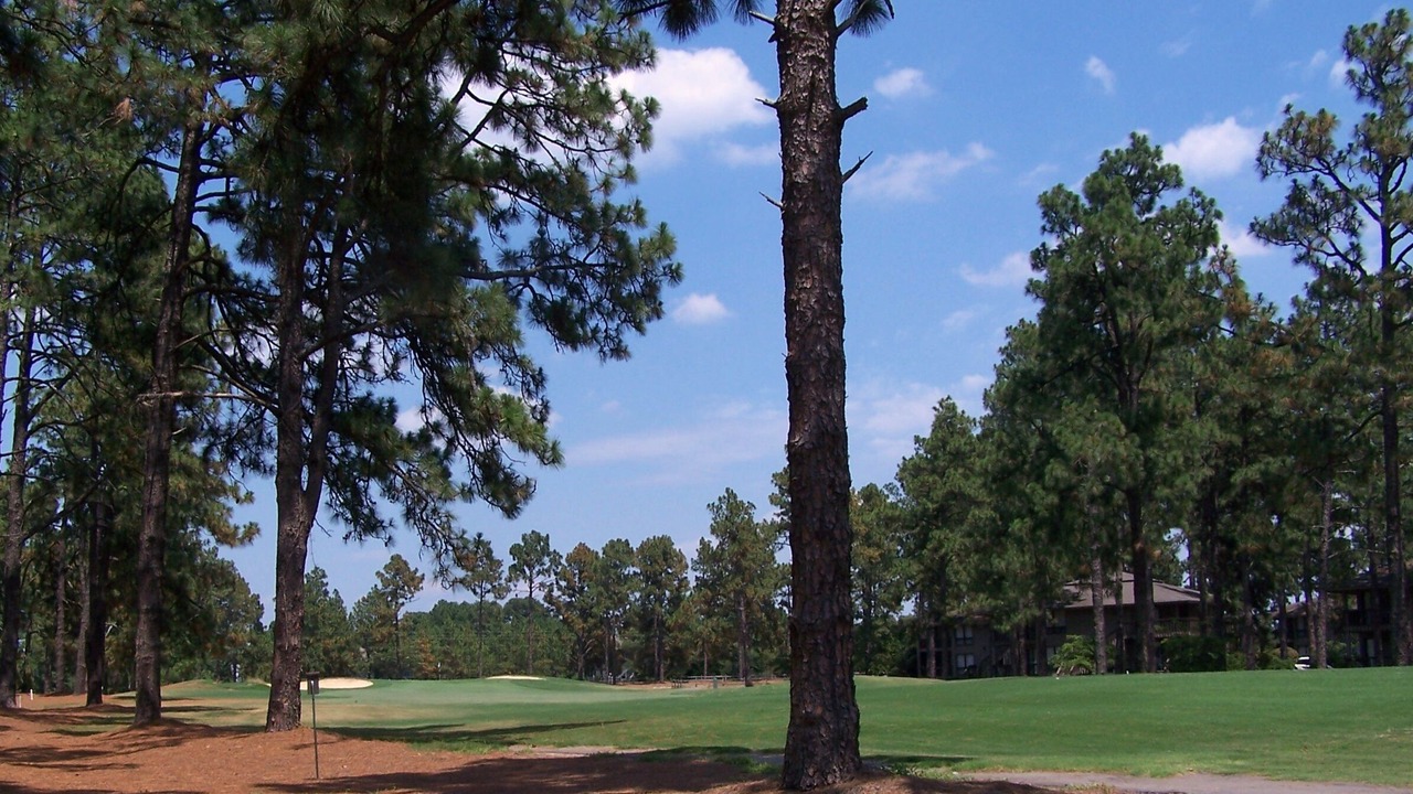 Photo of Others in Foxfire