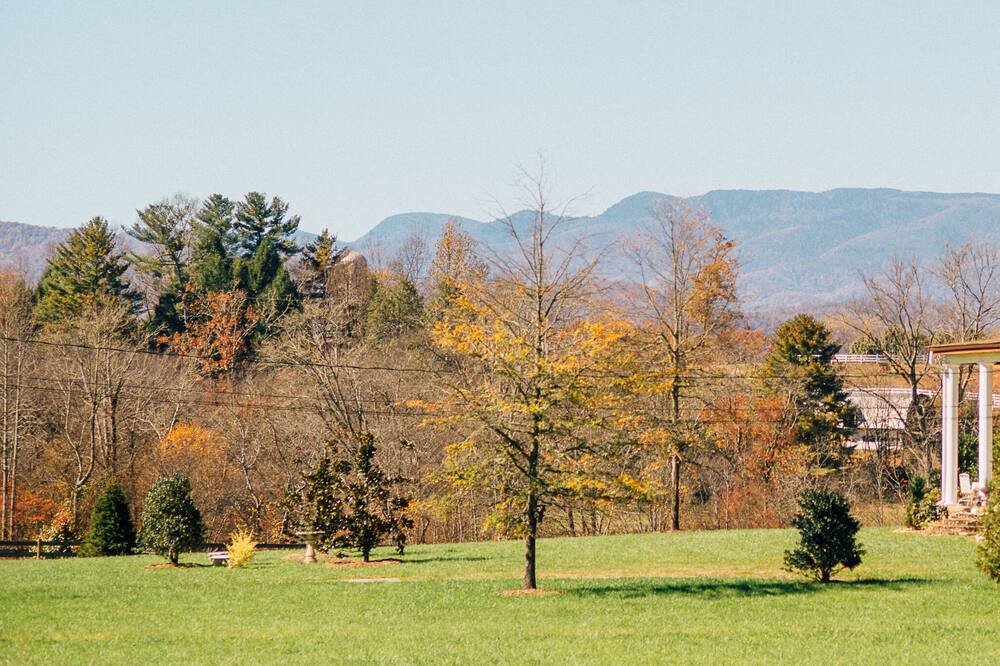Photo of Others in Penrose