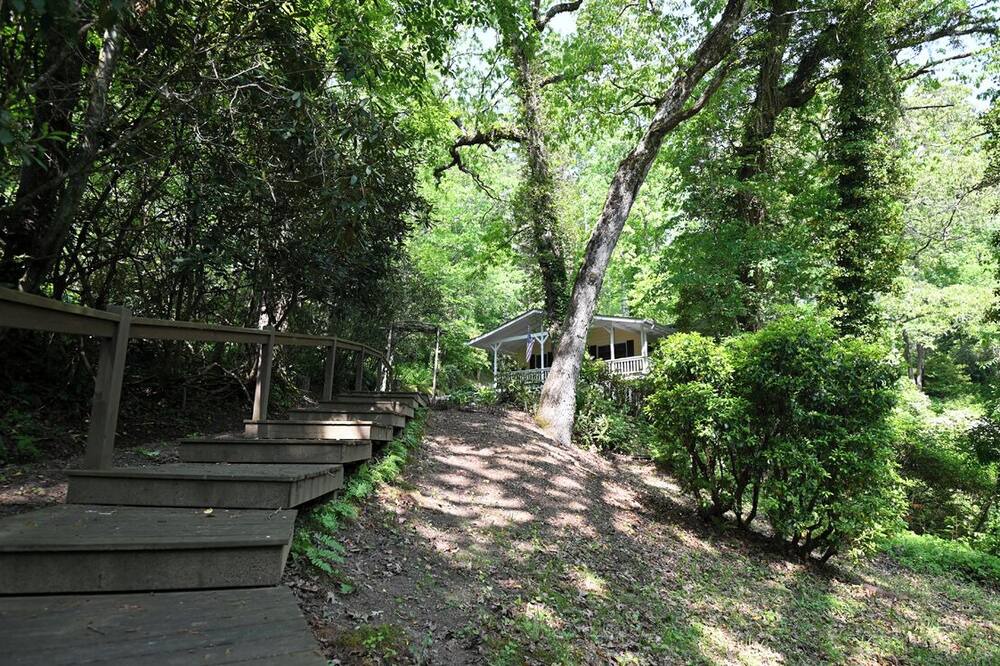 Photo of Others in Lake Sequoyah