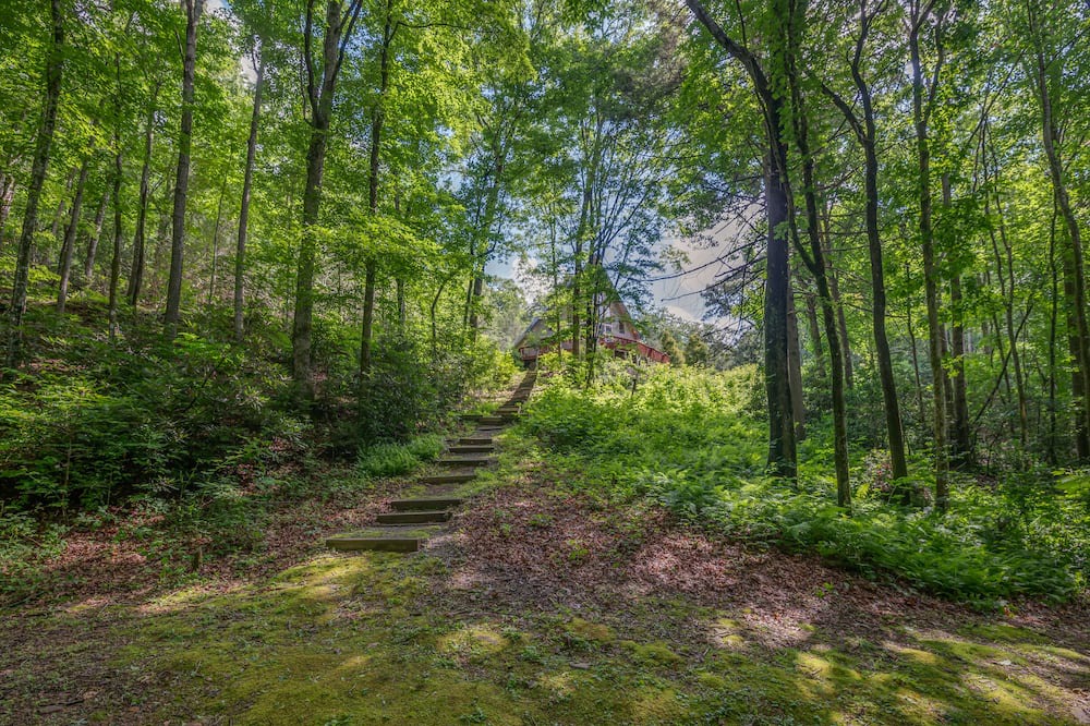 Photo of Outdoor in Mills River