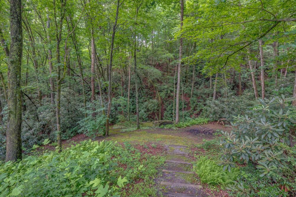 Photo of Outdoor in Mills River
