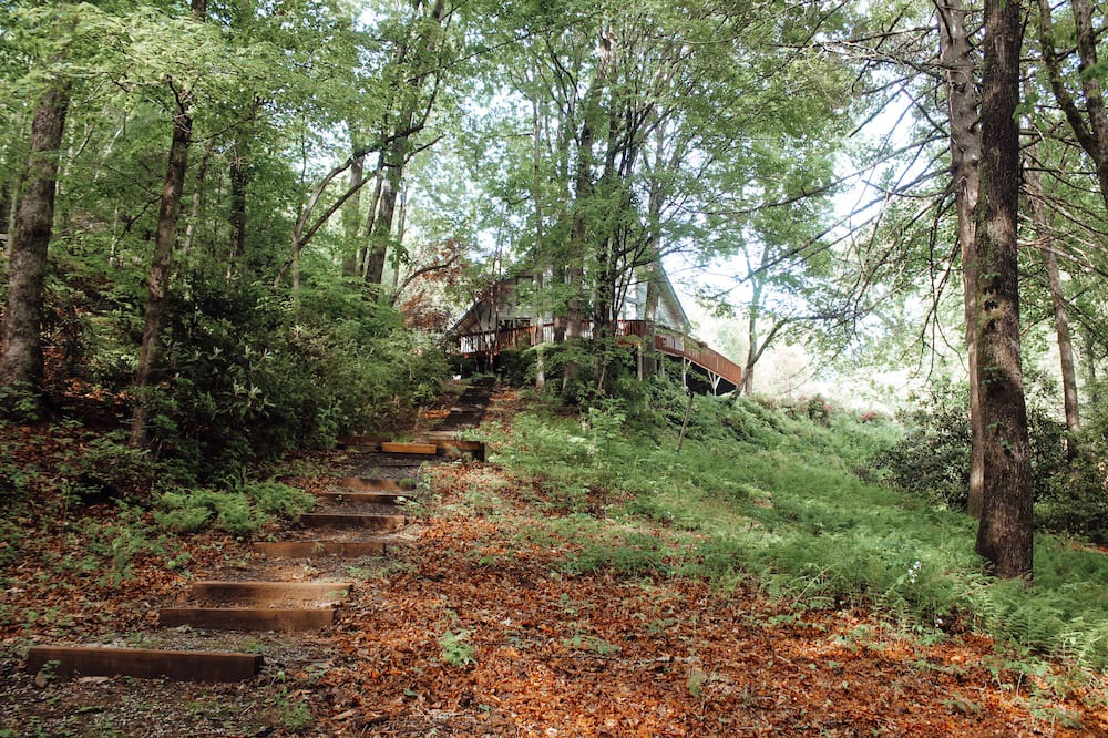 Photo of Outdoor in Mills River