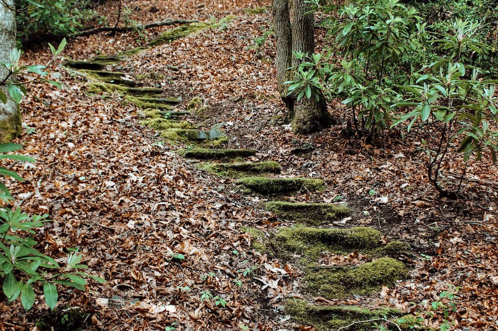 Photo of Outdoor in Mills River
