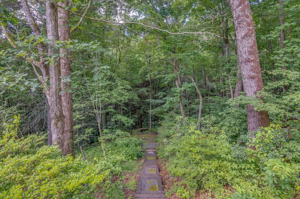 Photo of Outdoor in Mills River