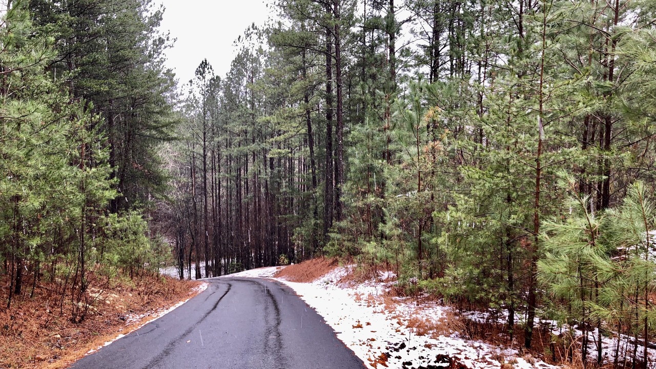Photo of Outdoor in Murphy