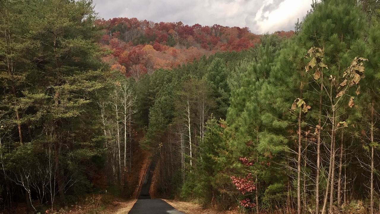 Photo of Outdoor in Murphy