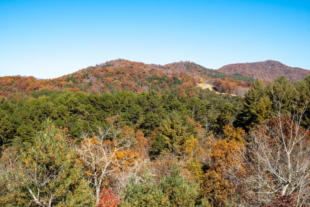 Photo of Outdoor in Murphy