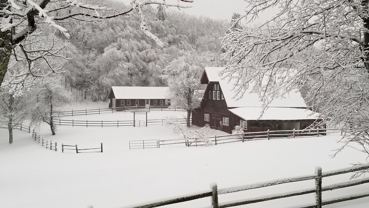 Photo of Outdoor in Skyland