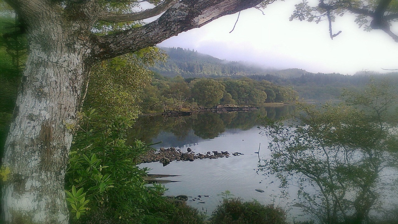 Photo of Others in Dallavich