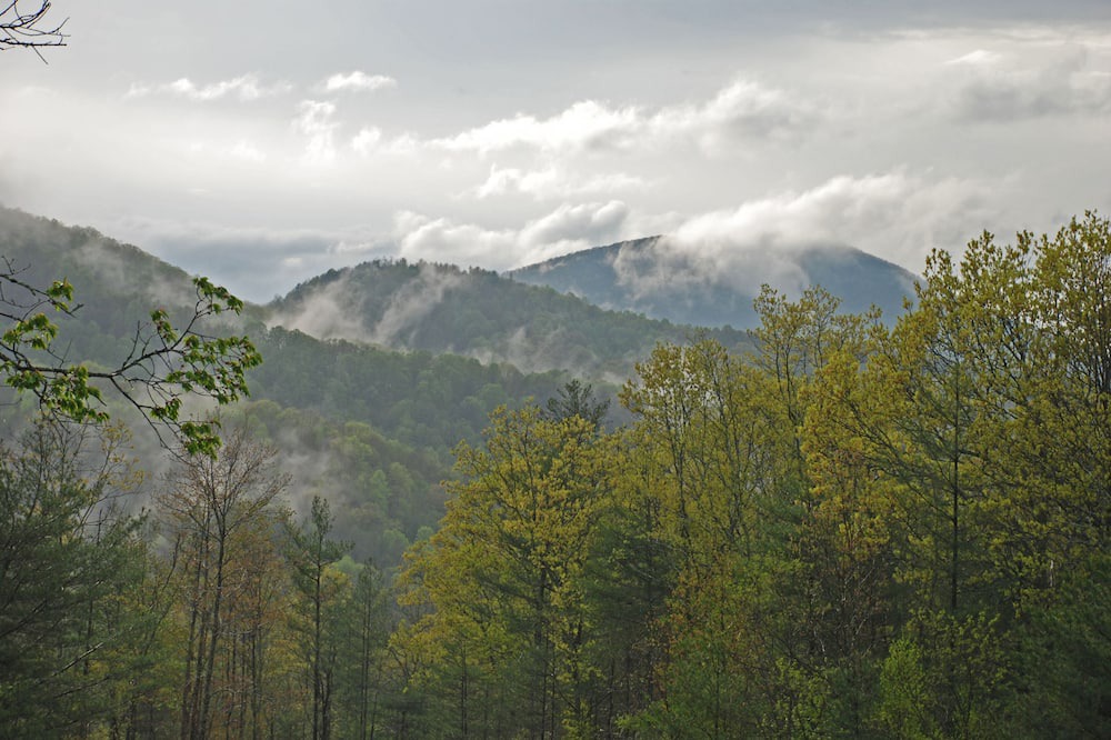 Photo of Others in Jefferson