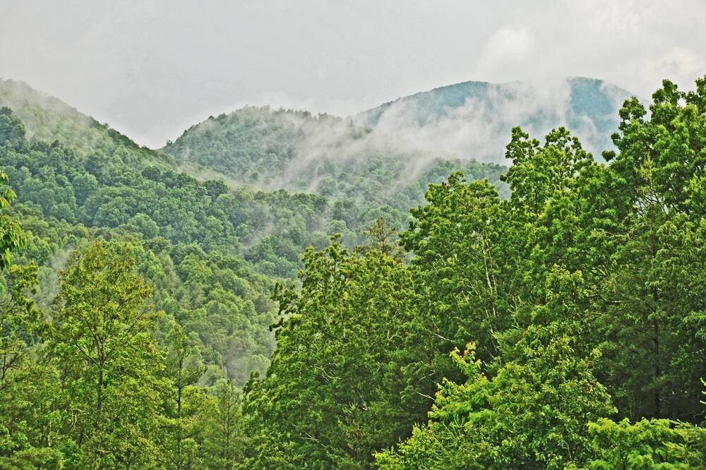 Photo of Others in Jefferson