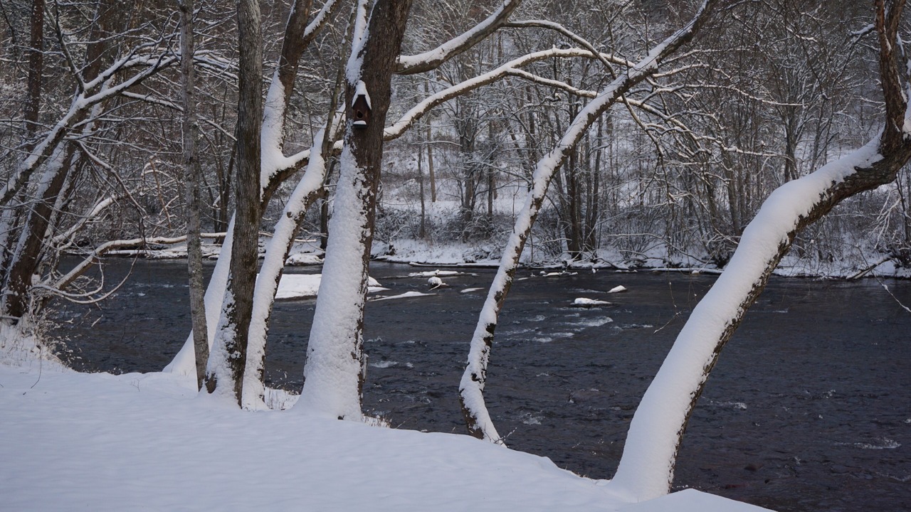 Photo of Others in Hayesville