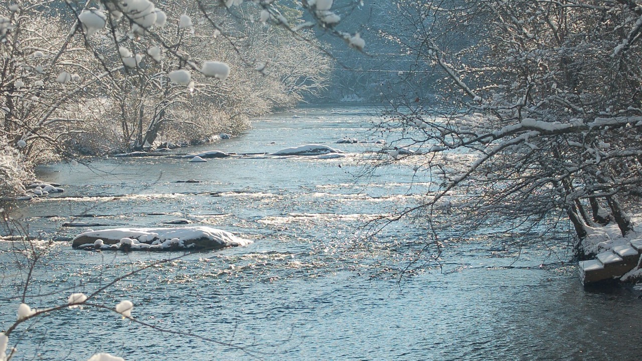 Photo of Others in Hayesville