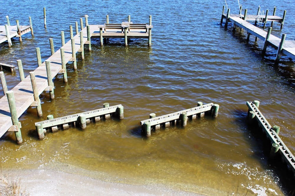 Photo of Others in Manteo