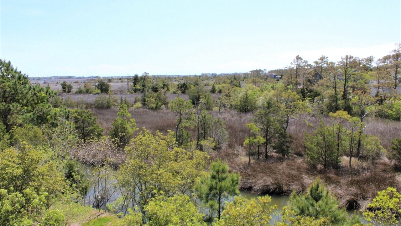 Photo of Outdoor in Manteo