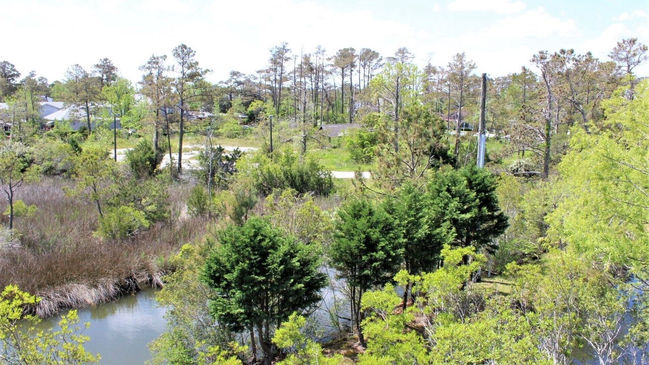 Photo of Outdoor in Manteo