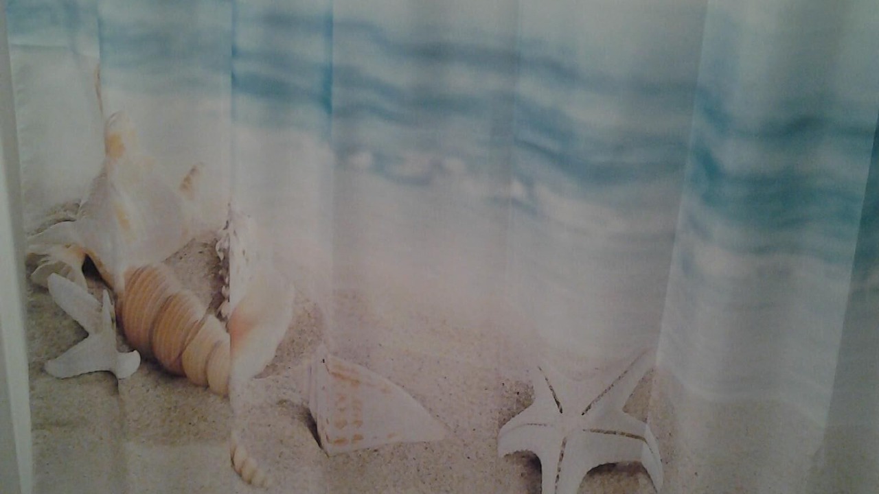 Photo of Others in Carova Beach