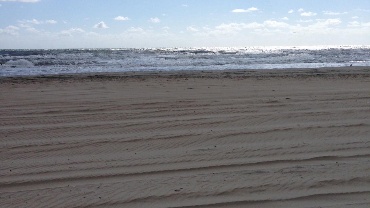Photo of Others in Carova Beach