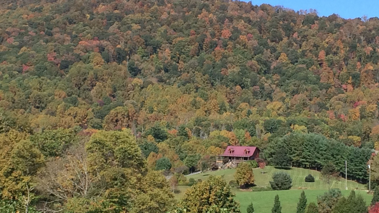 Photo of Outdoor in Vilas
