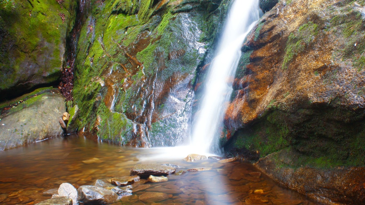 Photo of Outdoor in Bent Creek
