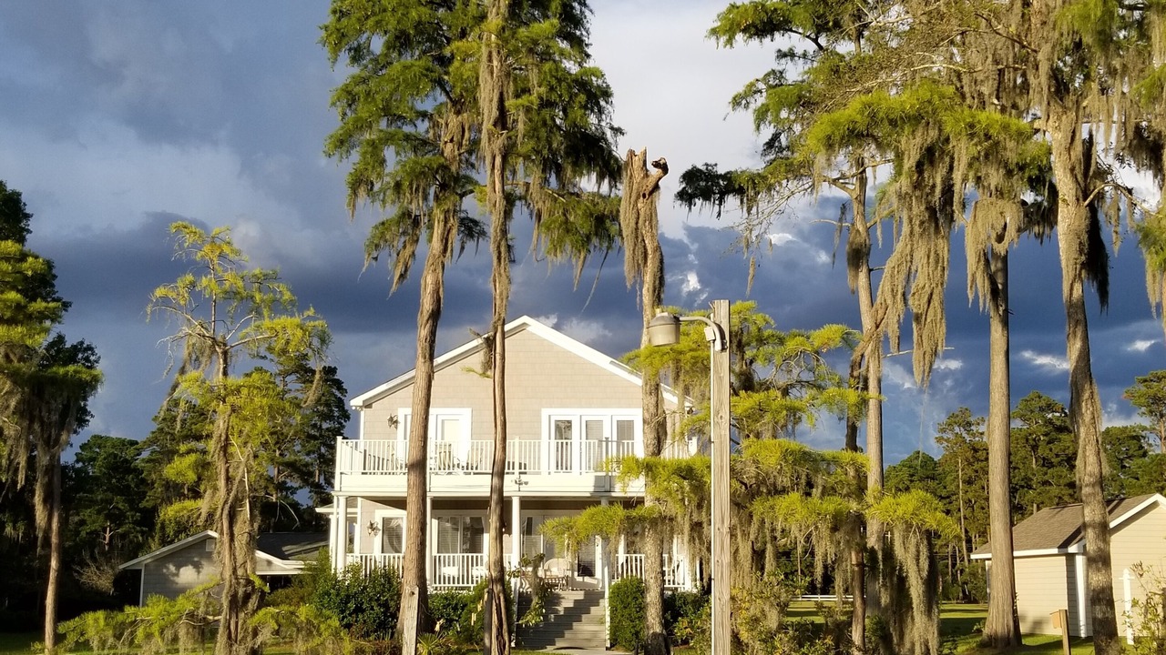 Photo of Others in White Lake